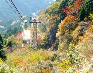 身延山も紅葉が始まりました。