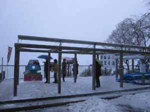 IMG_5286