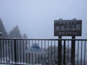 IMG_5289