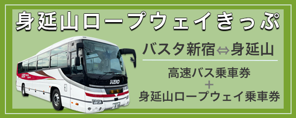 高速バス＋身延山ロープウェイ きっぷ