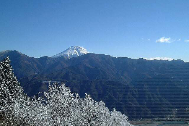 樹氷と富士山