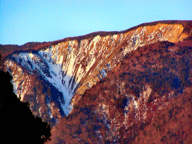 モルゲンロートに紅く染まる七面山の大ガレ　身延山頂北側展望台にて