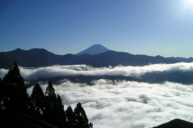 身延山山頂より望む雲海と富士山