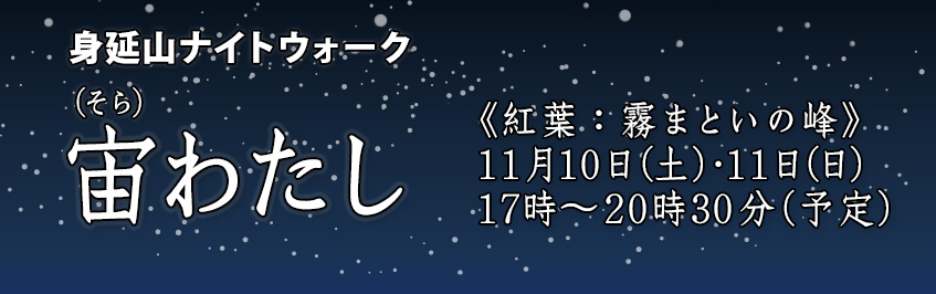 身延山ロープウェイ「宙わたし」