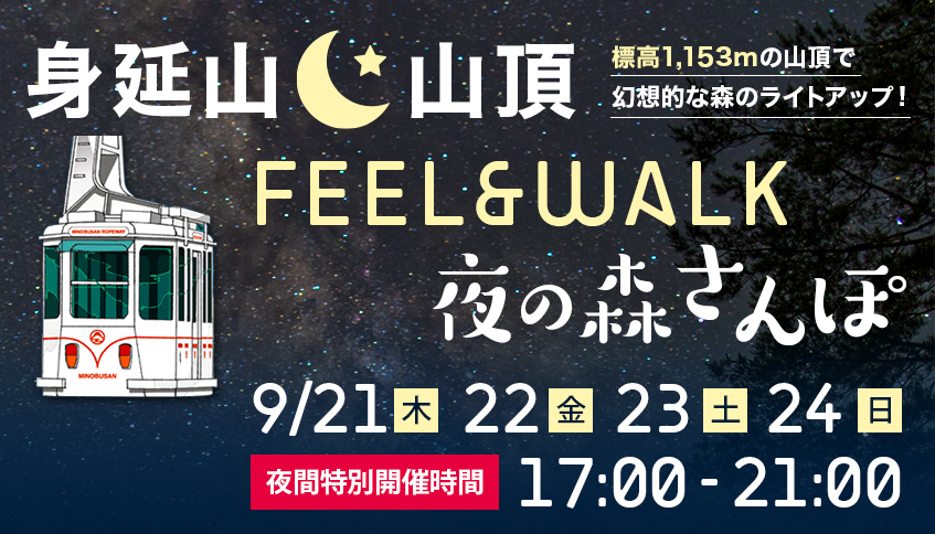 身延山山頂 FEEL&WALK 夜の森さんぽ