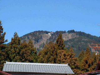 大光坊より身延山頂を望む
