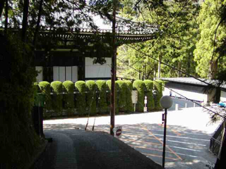 久遠寺本堂裏