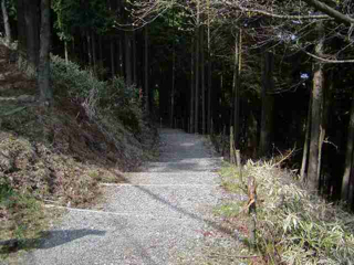 東コース下山道起点