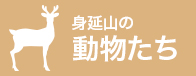 身延山の動物