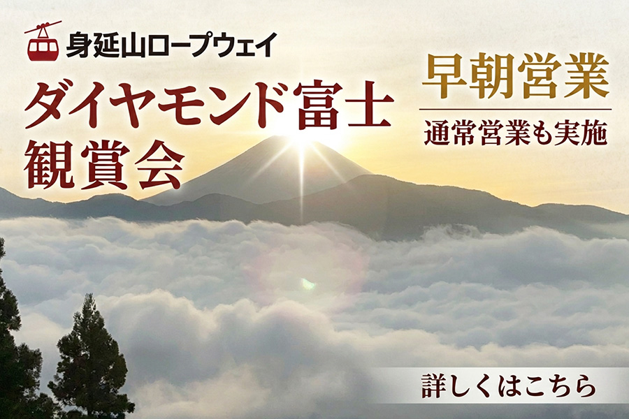 身延山ロープウェイ ダイヤモンド富士