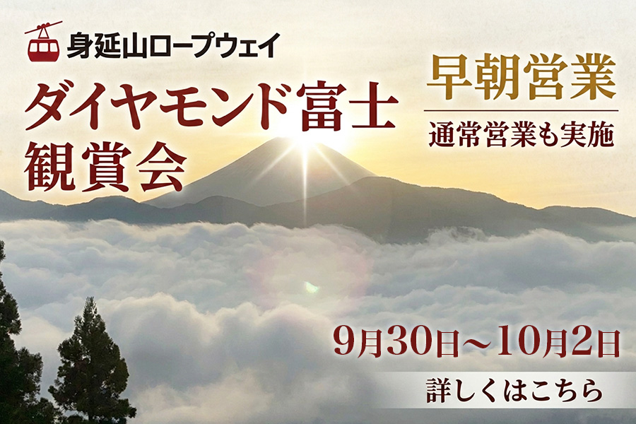 身延山ロープウェイ ダイヤモンド富士