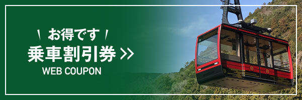 お得な割引券