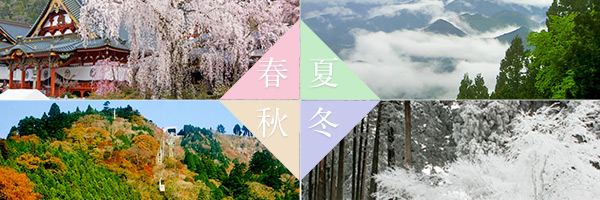 ギャラリー