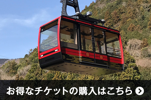 お得なチケットはコチラ