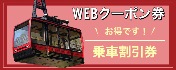 お得な割引券