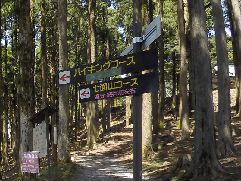 身延山奥之院参道