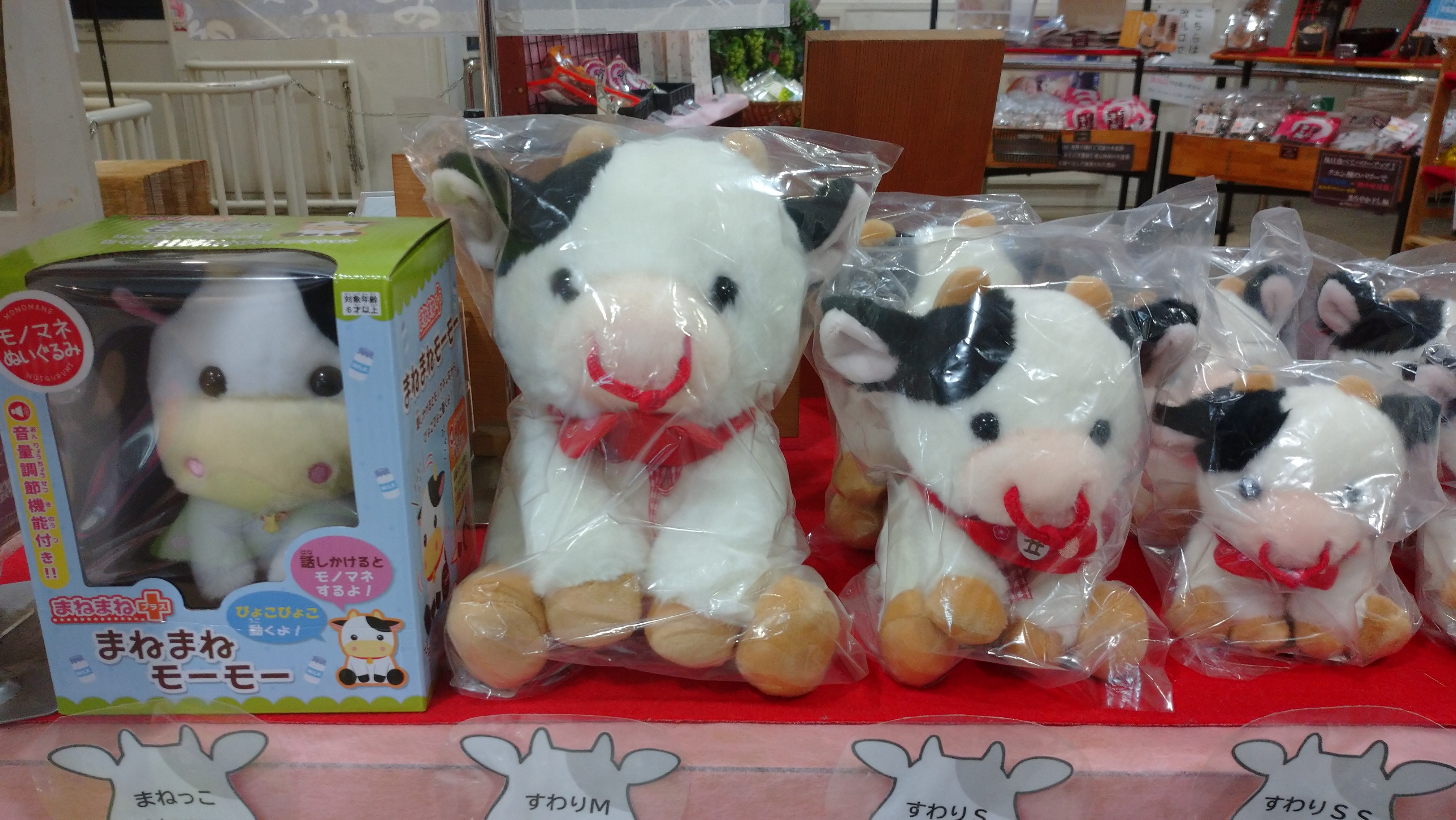 来年の干支「丑」のグッズが入荷しました！