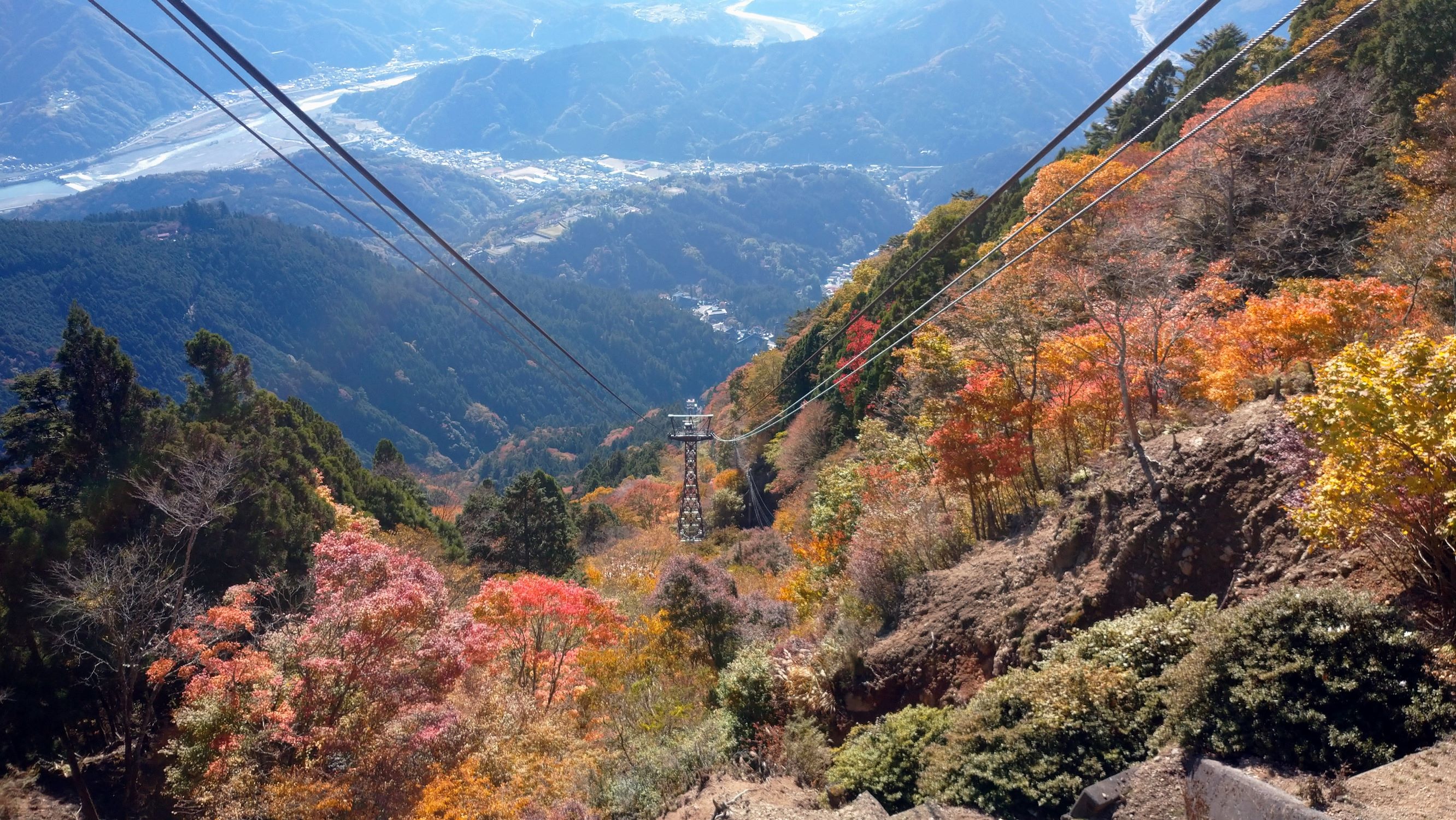 紅葉が見頃を迎えております！