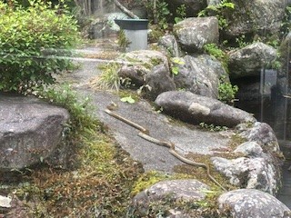 ジメジメしたお天気の日には…